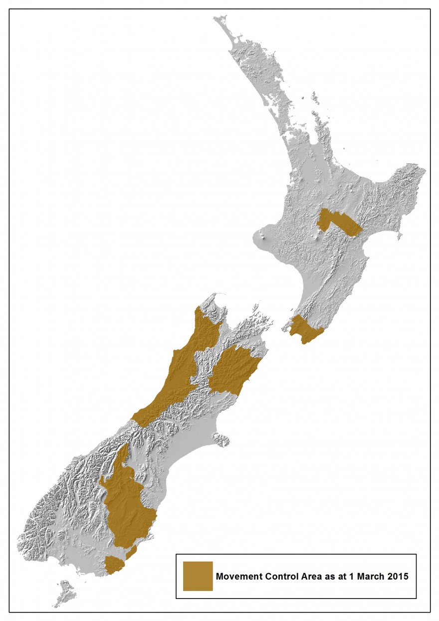New Zealand MCA map